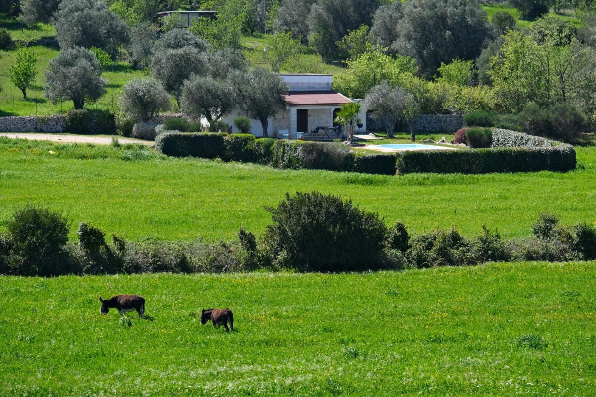 Terra Sessana Ville E Trullo Con Piscina Privata ออสตูนี ภายนอก รูปภาพ